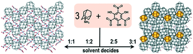 Graphical abstract: Stoichiometry of adamantylamine–trinitrophloroglucinol salts controlled by solvate formation