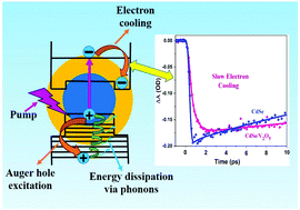 Graphical abstract: Ultrafast charge carrier dynamics in CdSe/V2O5 core/shell quantum dots