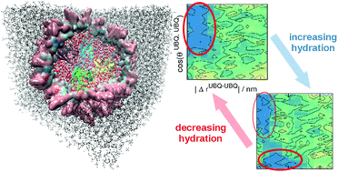 Graphical abstract: Towards capturing cellular complexity: combining encapsulation and macromolecular crowding in a reverse micelle