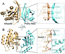 Graphical abstract: The structural basis for Ras activation of PI3Kα lipid kinase