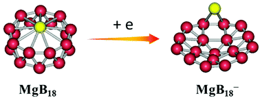 Graphical abstract: Exhaustive exploration of MgBn (n = 10–20) clusters and their anions