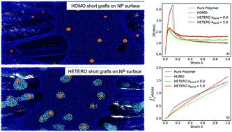 Graphical abstract: Tuning cavitation and crazing in polymer nanocomposite glasses containing bimodal grafted nanoparticles at the nanoparticle/polymer interface