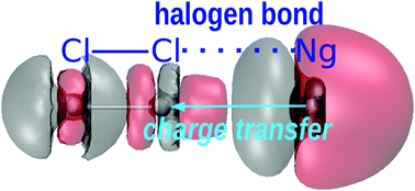 Graphical abstract: Insight into the halogen-bond nature of noble gas-chlorine systems by molecular beam scattering experiments, ab initio calculations and charge displacement analysis