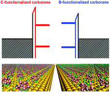 Graphical abstract: Tuning of the gold work function by carborane films studied using density functional theory