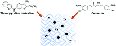 Graphical abstract: Novel dehydropeptide-based magnetogels containing manganese ferrite nanoparticles as antitumor drug nanocarriers