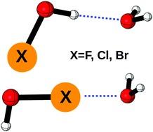 Graphical abstract: A comparison between hydrogen and halogen bonding: the hypohalous acid–water dimers, HOX⋯H2O (X = F, Cl, Br)
