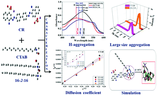 Graphical abstract: A comprehensive insight on H-type aggregation in Congo red-surfactant systems revealed through spectroscopic and electrochemical study unified with a simulation framework