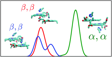 Graphical abstract: Absorption shifts of diastereotopically ligated chlorophyll dimers of photosystem I