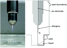 Graphical abstract: Reactivity and stability of plasma-generated oxygen and nitrogen species in buffered water solution: a computational study