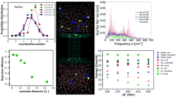 Graphical abstract: Nanoscopic insights of saline water in carbon nanotube appended filters using molecular dynamics simulations