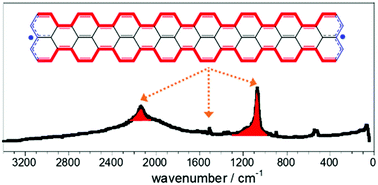 Graphical abstract: Long rylene nanoribbons express polyacetylene-like signatures at their edges