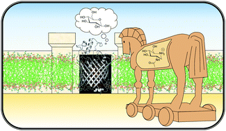 Graphical abstract: Glucose transport via the pseudomonad porin OprB: implications for the design of Trojan Horse anti-infectives
