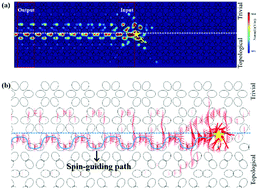 Graphical abstract: Manipulation of pseudo-spin guiding and flat bands for topological edge states