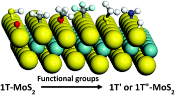 Graphical abstract: Ligand induced structure and property changes of 1T-MoS2