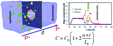 Graphical abstract: Charged nanoporous graphene membranes for water desalination