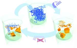 Graphical abstract: Self-assembling outside equilibrium: emergence of structures mediated by dissipation