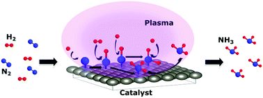 Graphical abstract: Plasma-assisted catalytic formation of ammonia in N2–H2 plasma on a tungsten surface