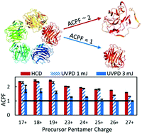 Graphical abstract: Impact of charge state on 193 nm ultraviolet photodissociation of protein complexes