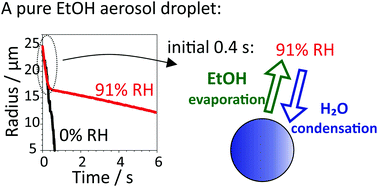 Graphical abstract: Studies of competing evaporation rates of multiple volatile components from a single binary-component aerosol droplet