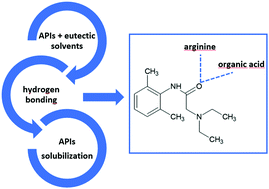 Graphical abstract: Design of arginine-based therapeutic deep eutectic solvents as drug solubilization vehicles for active pharmaceutical ingredients