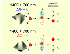 Graphical abstract: Controlling intramolecular hydrogen migration by asymmetric laser fields: the water case