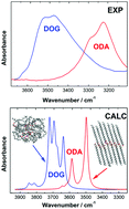 Graphical abstract: Influence of the hydrophobic domain on the self-assembly and hydrogen bonding of hydroxy-amphiphiles