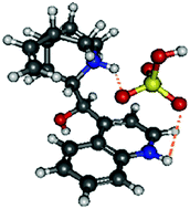 Graphical abstract: Effects of complexation with sulfuric acid on the photodissociation of protonated Cinchona alkaloids in the gas phase