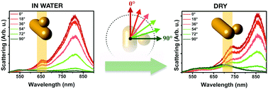 Graphical abstract: Detecting spatial rearrangement of individual gold nanoparticle heterodimers