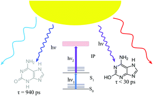 Graphical abstract: Photodynamics of alternative DNA base isoguanine