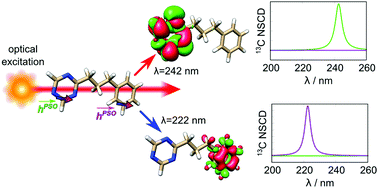 Graphical abstract: Spatial localization in nuclear spin-induced circular dichroism – a quadratic response function analysis