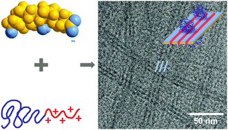 Graphical abstract: Block copolymers as bile salt sequestrants: intriguing structures formed in a mixture of an oppositely charged amphiphilic block copolymer and bile salt