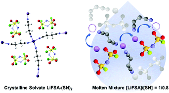 Graphical abstract: Li-ion hopping conduction in highly concentrated lithium bis(fluorosulfonyl)amide/dinitrile liquid electrolytes