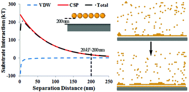 Graphical abstract: A Monte Carlo model for self-assembly of polytetrafluoroethylene nanoparticle films via repulsive electrostatic interactions