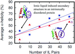 Graphical abstract: The ionic liquid [C4mpy][Tf2N] induces bound-like structure in the intrinsically disordered protein FlgM