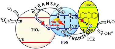 Graphical abstract: Exciton dissociation in an NIR-active triohybrid nanocrystal leading to efficient generation of reactive oxygen species