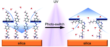 Graphical abstract: Photoswitchable de/adsorption of an azobenzene-derived surfactant on a silica surface