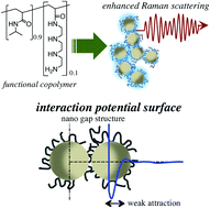 Graphical abstract: Interaction potential surface between Raman scattering enhancing nanoparticles conjugated with a functional copolymer