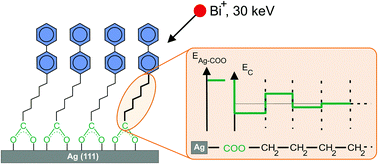 Graphical abstract: Oscillation in the stability of consecutive chemical bonds at the molecule–metal interface – the case of ionic bonding