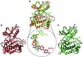 Graphical abstract: Revealing the distinct mechanistic binding and activity of 5-(1-(3,5-dichloropyridin-4-yl)ethoxy)-3-(5-(4-methylpiperazin-1-yl)-1H-benzo[d]imidazol-2-yl)-1H-indazole enantiomers against FGFR1