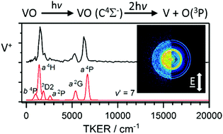 Graphical abstract: Photodissociation dynamics and the dissociation energy of vanadium monoxide, VO, investigated using velocity map imaging