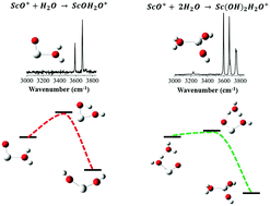 Graphical abstract: Infrared photodissociation spectroscopic studies of ScO(H2O)n=1–3Ar+ cluster cations: solvation induced reaction of ScO+ and water