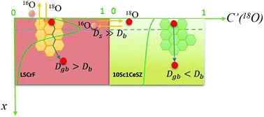 Graphical abstract: Oxygen transport and surface exchange mechanisms in LSCrF–ScCeSZ dual-phase ceramics