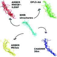 Graphical abstract: Probing the functional conformations of an atypical proline-rich fusion peptide