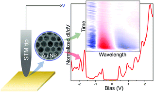 Graphical abstract: Energy scales and dynamics of electronic excitations in functionalized gold nanoparticles measured at the single particle level