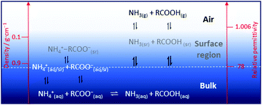 Graphical abstract: Chemical equilibria of aqueous ammonium–carboxylate systems in aqueous bulk, close to and at the water–air interface