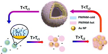 Graphical abstract: Probing hidden colloidal transitions with the assistance of surface plasmons