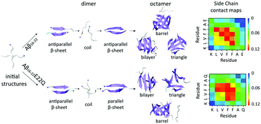 Graphical abstract: Mechanistic insight into E22Q-mutation-induced antiparallel-to-parallel β-sheet transition of Aβ16−22 fibrils: an all-atom simulation study