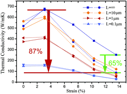 Graphical abstract: Disparate strain response of the thermal transport properties of bilayer penta-graphene as compared to that of monolayer penta-graphene