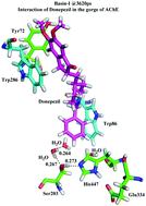 Graphical abstract: Revealing the mechanistic pathway of cholinergic inhibition of Alzheimer's disease by donepezil: a metadynamics simulation study