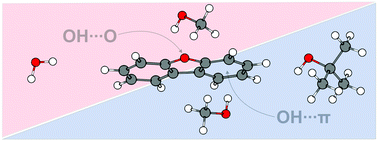 Graphical abstract: Dispersion-controlled docking preference: multi-spectroscopic study on complexes of dibenzofuran with alcohols and water
